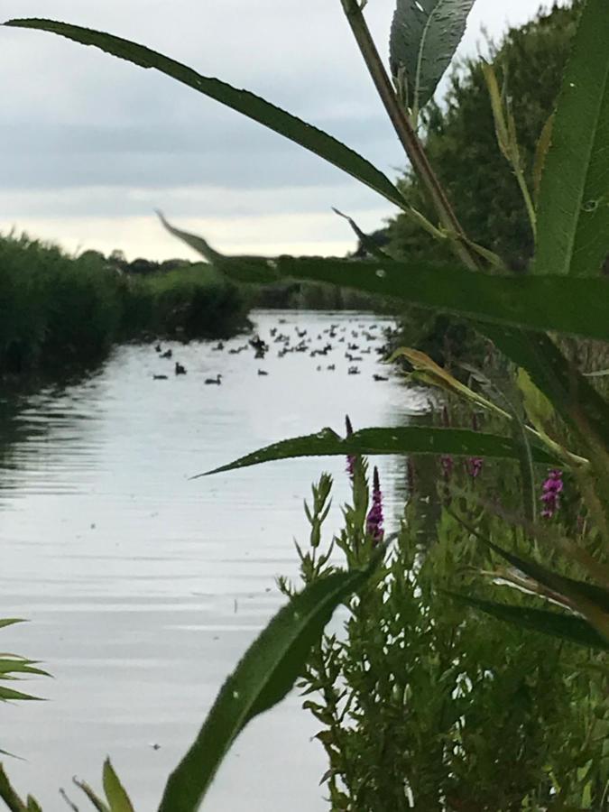 Willa Iris'T; Dijkhuisje In De Polders Van Groede. Zewnętrze zdjęcie